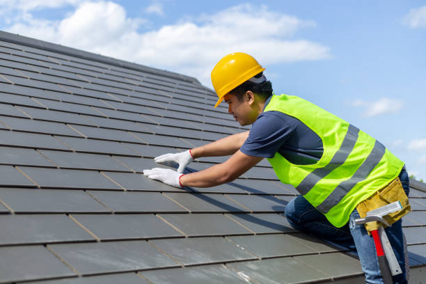 Best Steel Roofing  in Hamton, IL