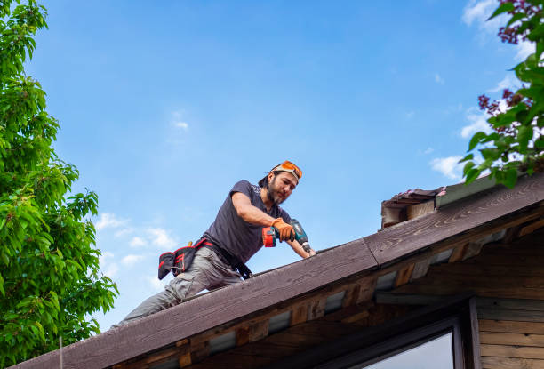  Hamton, IL Roofing services Pros