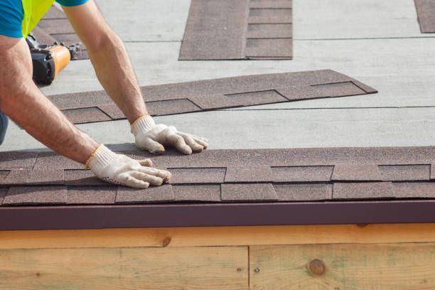 Best Storm Damage Roof Repair  in Hamton, IL
