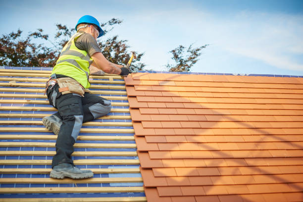 Best Asphalt Shingles Roofing  in Hamton, IL